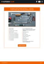 vadovas pdf atsisiųsti