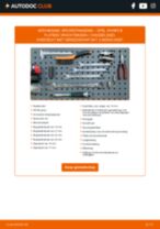DELPHI TA1814 voor Vivaro B Flatbed Vrachtwagen / Chassis (X82) | PDF guide voor vervanging