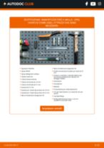 MAPCO 20162 per Vivaro B Combi (X82) | PDF istruzioni di sostituzione