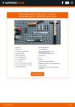 LEMFÖRDER 31488 eest VIVARO Combi (J7) | PDF asendamise õpetused