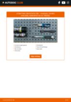 guide pdf nedlasting