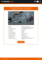ABE CZH1243 til VIVARO Combi (J7) | PDF manual for bytte