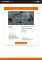 MAPCO 4138 pentru VIVARO Combi (J7) | PDF manualul de înlocuire