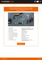 vadovas pdf atsisiųsti