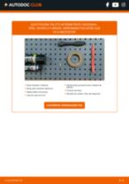 Mantenimiento automático: manual gratuito