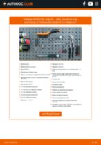DELPHI LH6710 pre Vivaro A Combi (X83) | PDF návod na výmenu