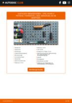 OPEL VIVARO Platform/Chassis (E7) Bremsscheiben Keramik tauschen: Handbuch pdf