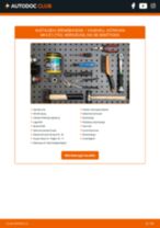 Kfz Reparaturanleitung online