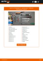 FORD RANGER Ajovalot vaihto matrix LED: opas pdf