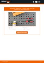Brauchbare Handbuch zum Austausch von Nockenwellenversteller beim LANCIA DELTA 2014