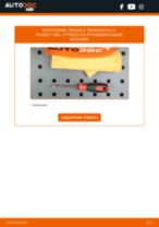 PDF manuale di sostituzione: Spazzole tergicristallo PEUGEOT 308 I Hatchback (4A_, 4C_) posteriore e anteriore