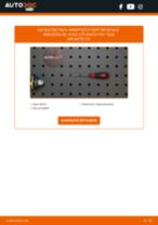 DIY εγχειρίδιο για την αντικατάσταση Αμορτισέρ Πορτ Μπαγκαζ στο MERCEDES-BENZ ML-class