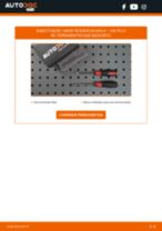 Manual online sobre a substituição de Jogo de barras estabilizadoras em ALPINA XB7