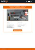 Wie Xenon Vorschaltgerät beim CITROËN DS3 wechseln - Handbuch online