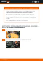 La guía profesional para realizar la sustitución de Escobillas de Limpiaparabrisas en tu Audi A3 8L 1.9 TDI
