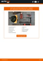 Werkstatthandbuch für 807 MPV 2.2 HDi online
