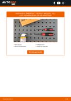 PEUGEOT 406 Ladeluftkühler auswechseln: Tutorial pdf
