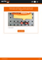 Den professionelle guide til udskiftning af Bremseskiver på din PEUGEOT 308 SW I Kasten / Kombi (4E_) 2.0 HDi