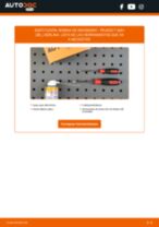 Cambio Unidad de bobina de encendido PEUGEOT bricolaje - manual pdf en línea