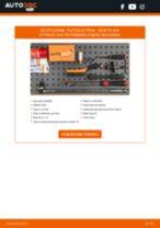 Citroen Berlingo MF Kit Cinghie Poly-V sostituzione: tutorial PDF passo-passo