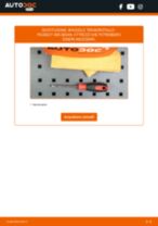 Manuali officina PEUGEOT 408 gratis: tutorial di riparazione