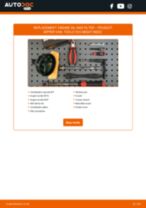 PEUGEOT BIPPER repair manual and maintenance tutorial