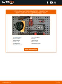 Vervangen: Oliefilter 2.0 HDi (6DRHRH, 6DRHRE, 6DRHRG, 6DRHRJ) Peugeot 407 Sedan