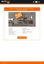 DIY-priročnik za zamenjavo Blazilnik v ABARTH 500 / 595 / 695