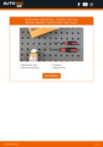 PEUGEOT Süütepool vahetamine DIY - online käsiraamatute pdf