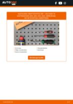 Werkstatthandbuch für Caddy III Kastenwagen (2KA, 2KH, 2CA, 2CH) 2.0 TDI 16V 4motion online