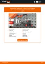 Gratis PDF handleiding voor vervanging van onderdelen in de BEETLE 2011