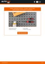 Tiešsaistes rokasgrāmata, kā mainīties Aizdedzes slēdzene uz PEUGEOT 806 Kastenwagen (AF)
