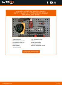 Cum să efectuați înlocuirea: Filtru ulei PEUGEOT EXPERT Platform/Chassis 2.0 HDi