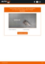 Cambio Batteria Start-Stop VW Crafter Van: guida pdf