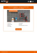 Bytte Dekktrykk Kontrollsystem Polo 6n1: handleiding pdf