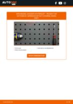 Hoe Thermoschakelaar radiateurventilator vervangen en installeren PEUGEOT 207: pdf tutorial