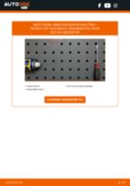 Reemplazar Muelle neumático maletero compartimento de carga PEUGEOT 207: pdf gratis