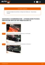 Online-Anteitung: Zentralverriegelung Motor hinten links und rechts austauschen Fiat Tipo 356