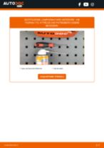 PDF manuale di sostituzione: Lampadina faro VW TOURAN (1T3) LED e Xenon