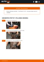 Byta Bromsokshållare bak och fram Renault Megane 1: guide pdf