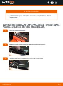 Cómo sustitución de Escobillas de Limpiaparabrisas 2.0 HDi Citroën Xsara Picasso