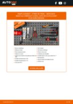 PDF manuel sur la maintenance de CLK Décapotable (A209) CLK 55 AMG (209.476)