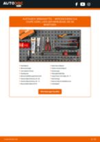 Die professionelle Anleitung für den Handbremsbeläge-Wechsel bei deinem CLK C209 CLK 200 Kompressor (209.342)