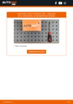 MERCEDES-BENZ E-CLASS (W210) Innenraumfilter: Schrittweises Handbuch im PDF-Format zum Wechsel