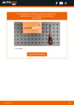 Cambio Batteria Start-Stop FORD CORSAIR: guida pdf