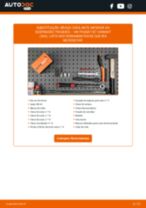 PDF manual sobre manutenção de Passat Variant (365) 2.0 TDI 4motion