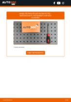 MERCEDES-BENZ Salona filtrs nomaiņa dari-to-pats - tiešsaistes instrukcijas pdf