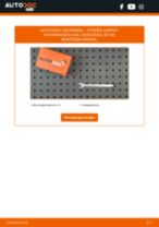 Werkstatthandbuch für JUMPER Kasten (244) 2.8 HDi 4x4 online