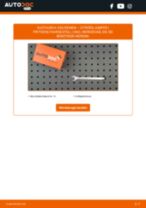 Werkstatthandbuch für JUMPER Pritsche/Fahrgestell (244) 2.0 HDi online
