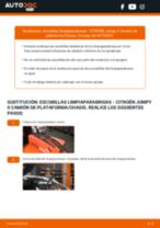 La guía profesional para realizar la sustitución de Filtro de Combustible en tu CITROËN JUMPY Platform/Chassis 2.0 I (X_RFH)